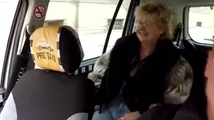 Doggystyle in car european