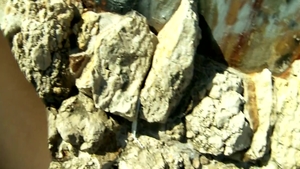 French amateur goes in for slamming hard