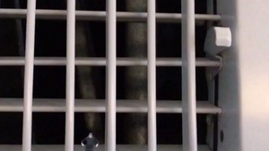 Kinky mature really likes rough nailing in HD