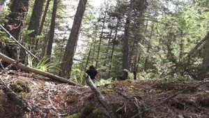 French amateur POV cumshot