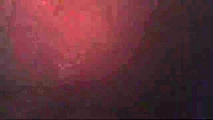 Dick sucking tattooed ebony in HD