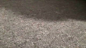 Alexis Fawx got fucked hard