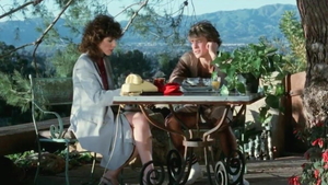 Honey Wilder and hairy Kay Parker